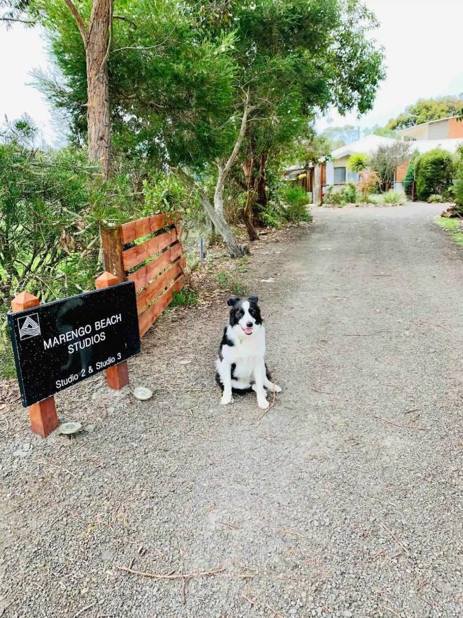 Marengo Beach Studios- Pet Friendly 外观 照片